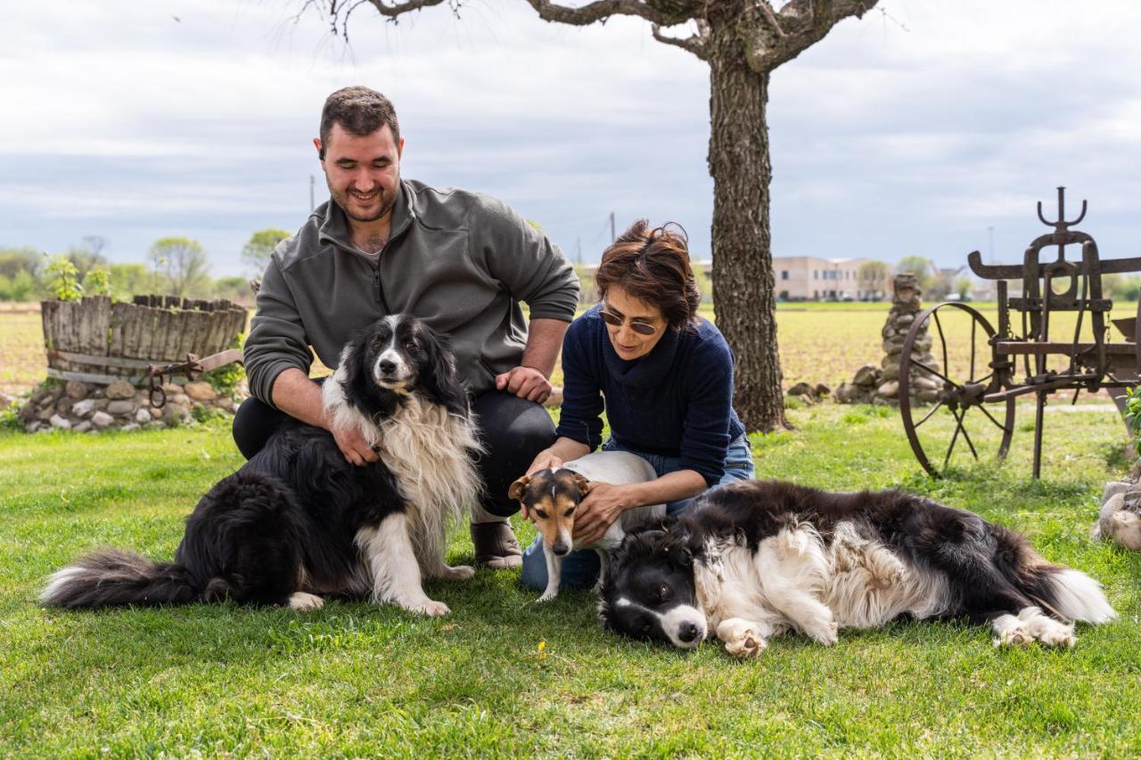 Agriturismo Pozzo Fiorito Castiglione Delle Stiviere Εξωτερικό φωτογραφία