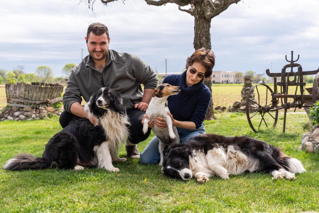 Agriturismo Pozzo Fiorito Castiglione Delle Stiviere Εξωτερικό φωτογραφία