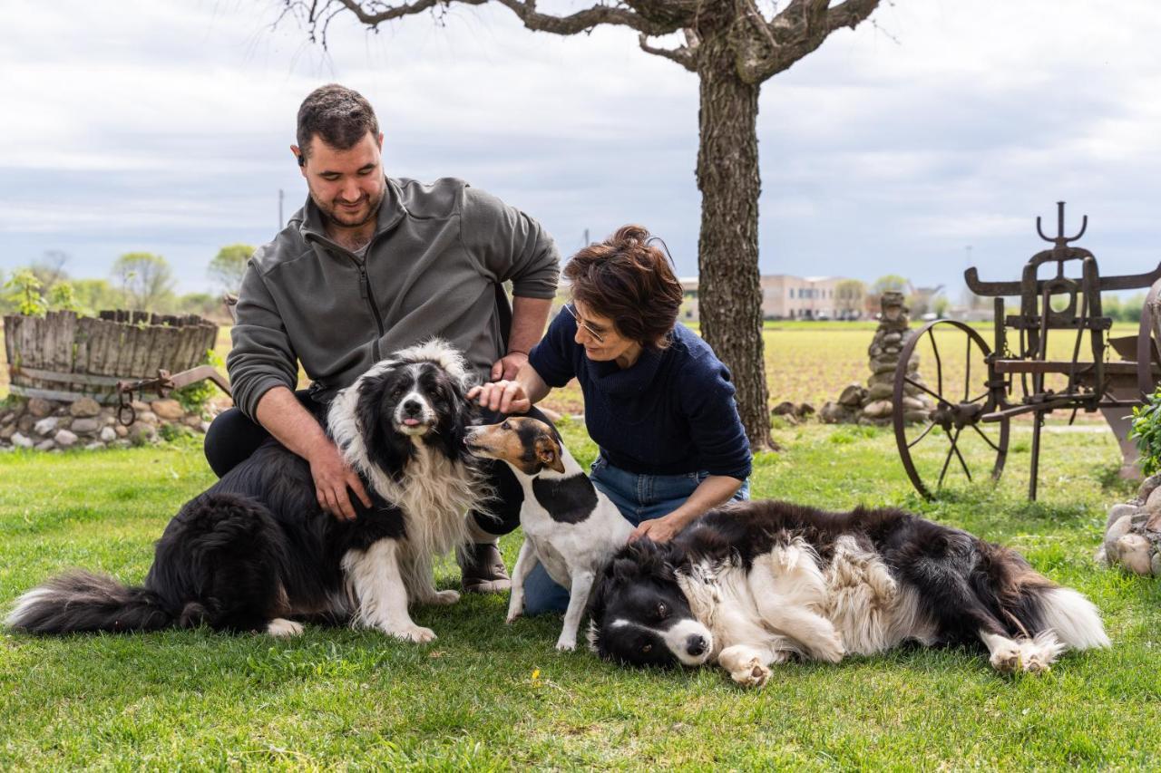 Agriturismo Pozzo Fiorito Castiglione Delle Stiviere Εξωτερικό φωτογραφία