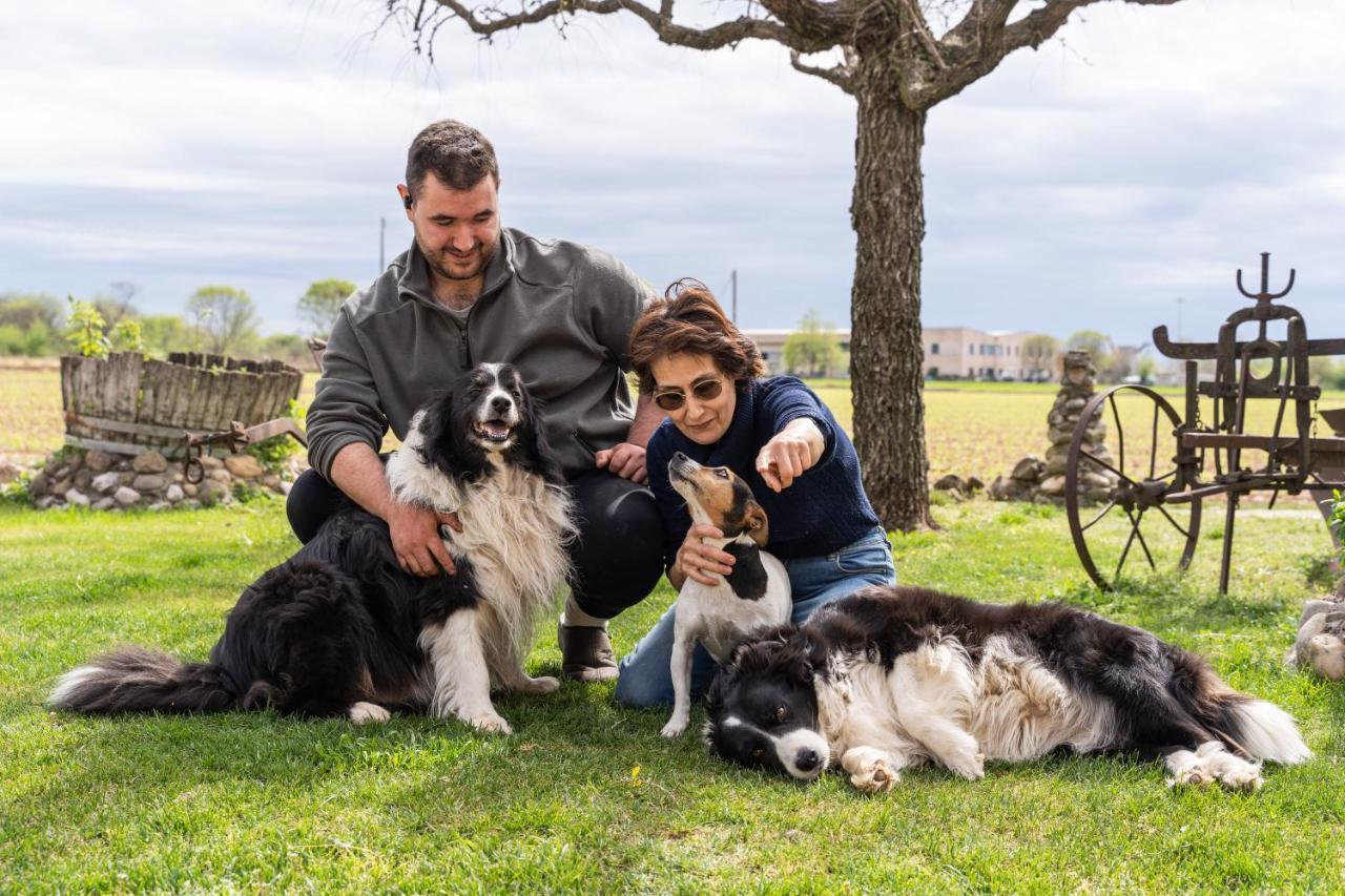 Agriturismo Pozzo Fiorito Castiglione Delle Stiviere Εξωτερικό φωτογραφία