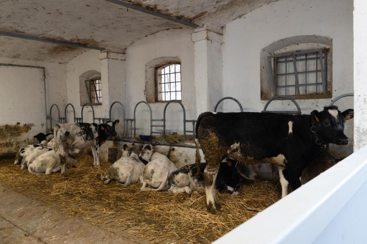 Agriturismo Pozzo Fiorito Castiglione Delle Stiviere Εξωτερικό φωτογραφία