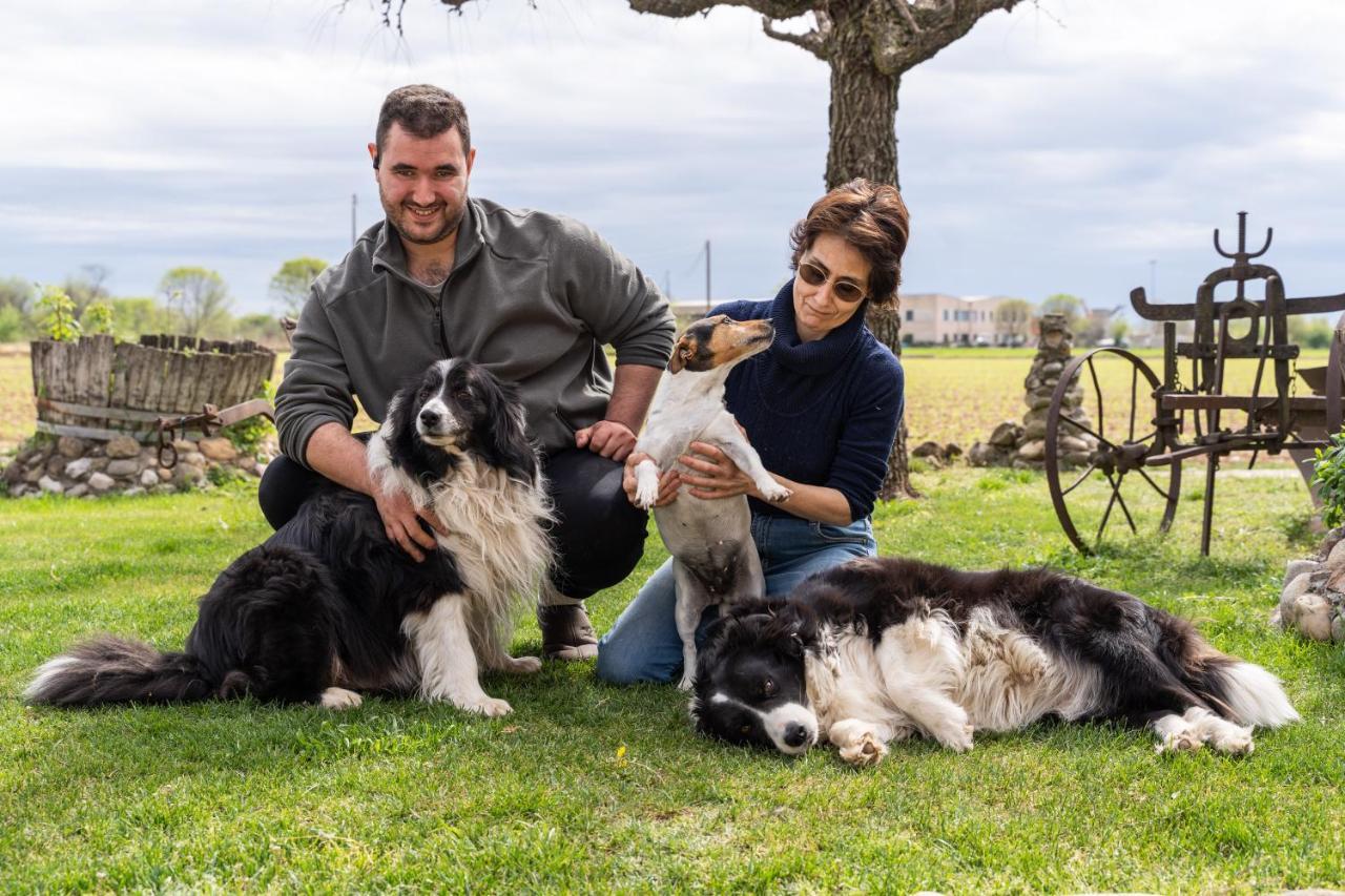 Agriturismo Pozzo Fiorito Castiglione Delle Stiviere Εξωτερικό φωτογραφία